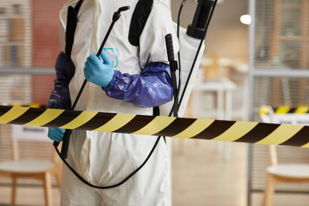 Professional Hoarding Cleanup technician working in Mcbrides, MI